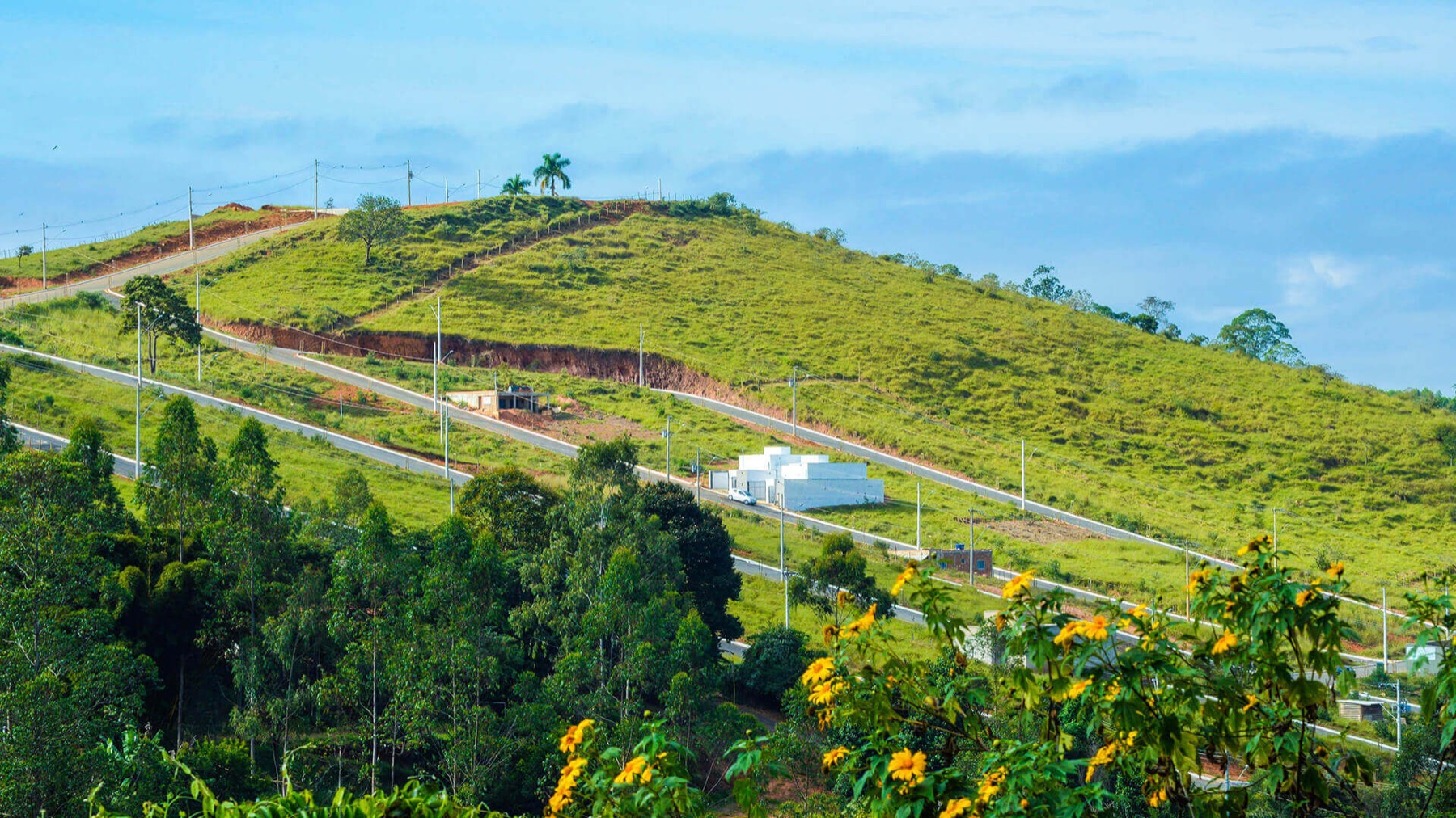 Lotes residenciais Conceito